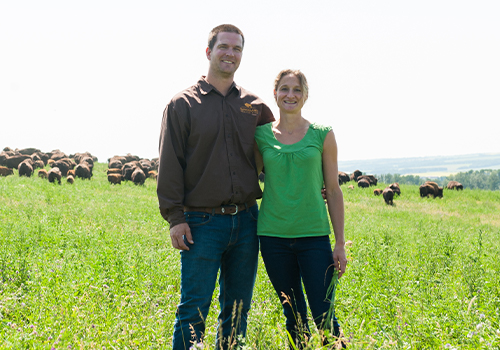 ACANA® Petfoods Zulieferer unseres Vertrauens: Auf der Ranch gezüchtetes Bison, Pilatus Farms | 